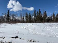 Commercial Lot/Acreage/Land for Sale