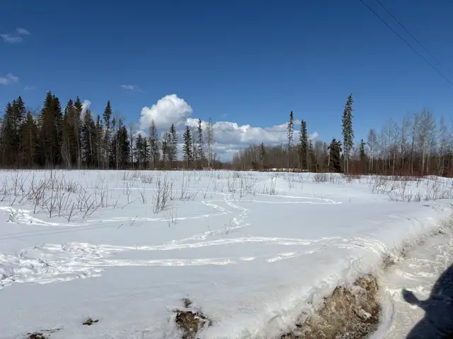 Commercial Lot/Acreage/Land for Sale - Photo 2