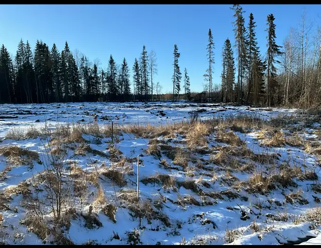 Commercial Lot/Acreage/Land for Sale - Photo 4
