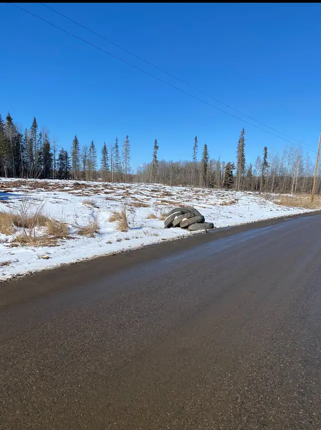 Commercial Lot/Acreage/Land for Sale - Photo 5