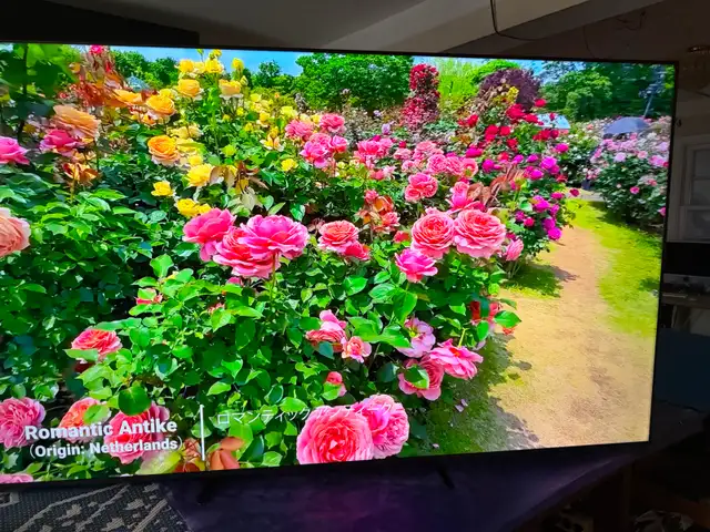Samsung 75 inches QLED 4K smart 2025 like new - Photo 4