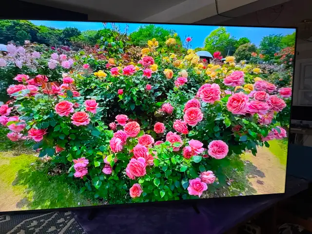 Samsung 75 inches QLED 4K smart 2025 like new - Photo 6
