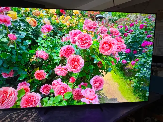 Samsung 75 inches QLED 4K smart 2025 like new - Photo 7