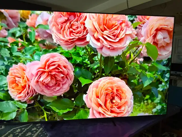 Samsung 75 inches QLED 4K smart 2025 like new - Photo 8