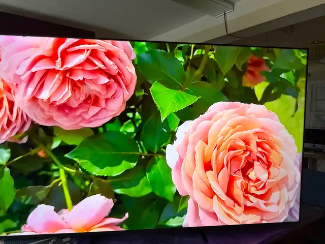 Samsung 75 inches QLED 4K smart 2025 like new - Photo 9