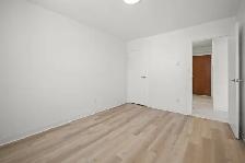 Renovated 1 Bedroom Apartment! Move In Ready! - Photo 7
