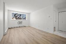 Renovated 1 Bedroom Apartment! Move In Ready! - Photo 8