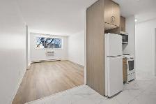 Renovated 1 Bedroom Apartment! Move In Ready! - Photo 9