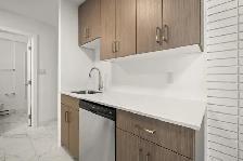 Renovated 1 Bedroom Apartment! Move In Ready! - Photo 10