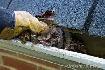 WINDOW CLEANING AND EAVES TROUGH CLEANING -GTA - Photo 3