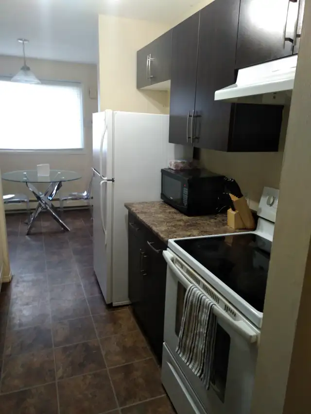 July 1: 2 bdr fully furn'd APARTMENT,  Just bring your suitcase - Photo 2