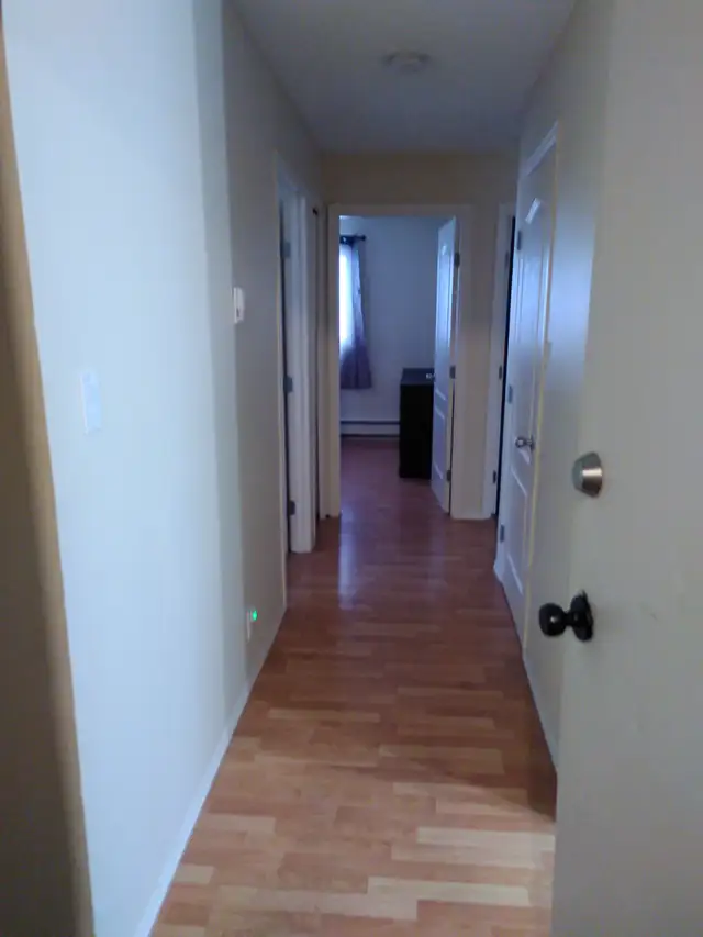 July 1: 2 bdr fully furn'd APARTMENT,  Just bring your suitcase - Photo 3