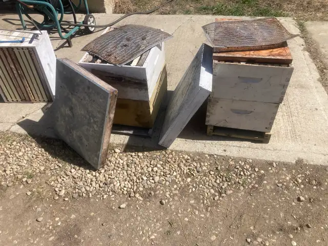 honey bee equipment