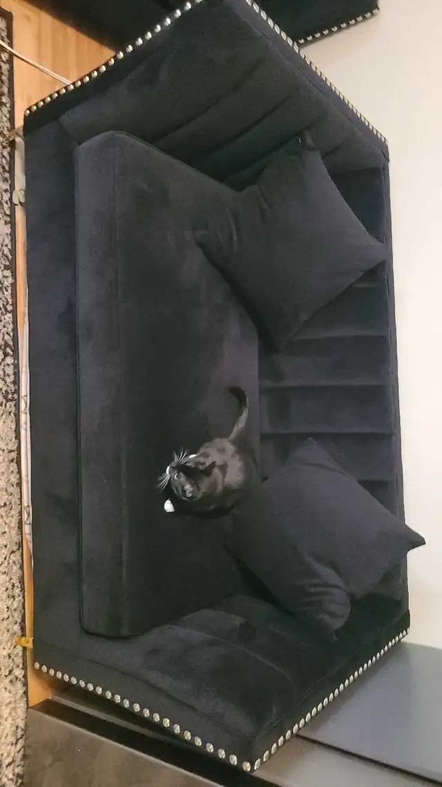Sofa Couches - Photo 2