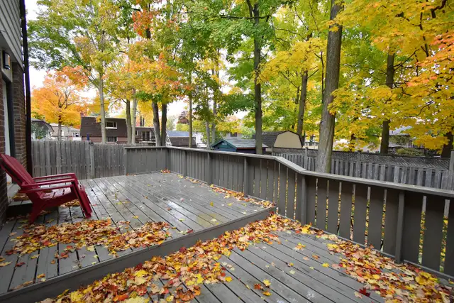 Charming 1 Bed   Den, East Barrie - Photo 17