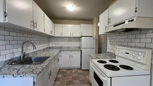 RENTAL INCENTIVE! Renovated 2 bed 2 bath available now at Delta - Photo 3