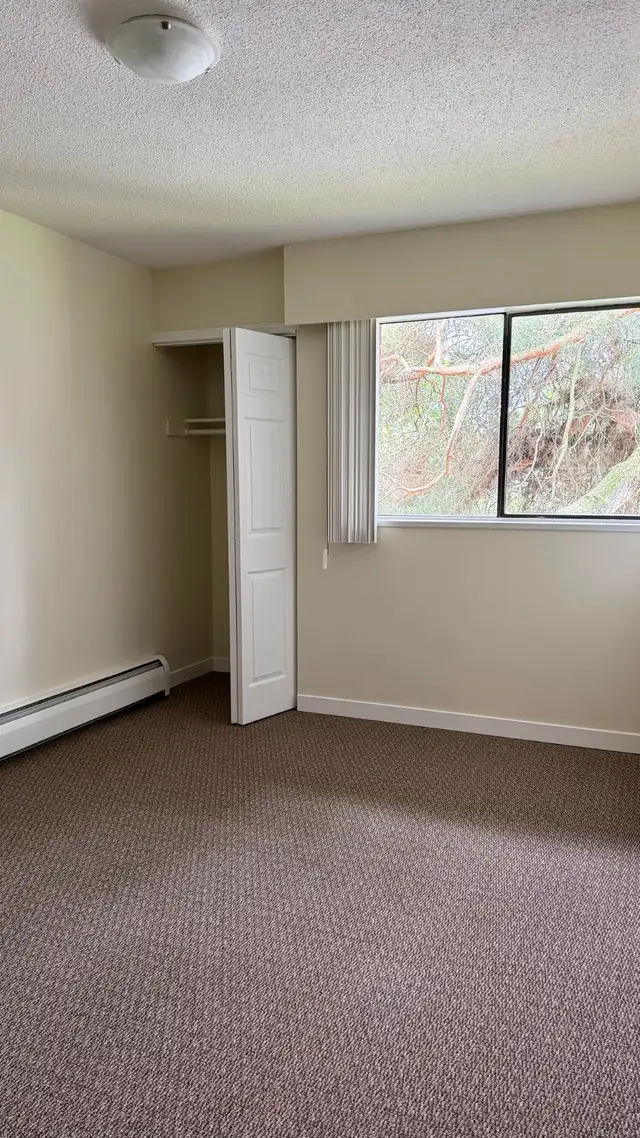 RENTAL INCENTIVE! Renovated 2 bed 2 bath available now at Delta - Photo 5