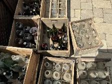 Lots o’ Antique Bottles & Crates !