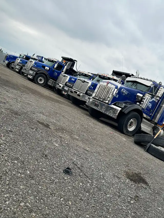 DZ/AZ driver needed
