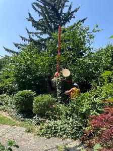 Tree Work Labourer needed - Photo 2