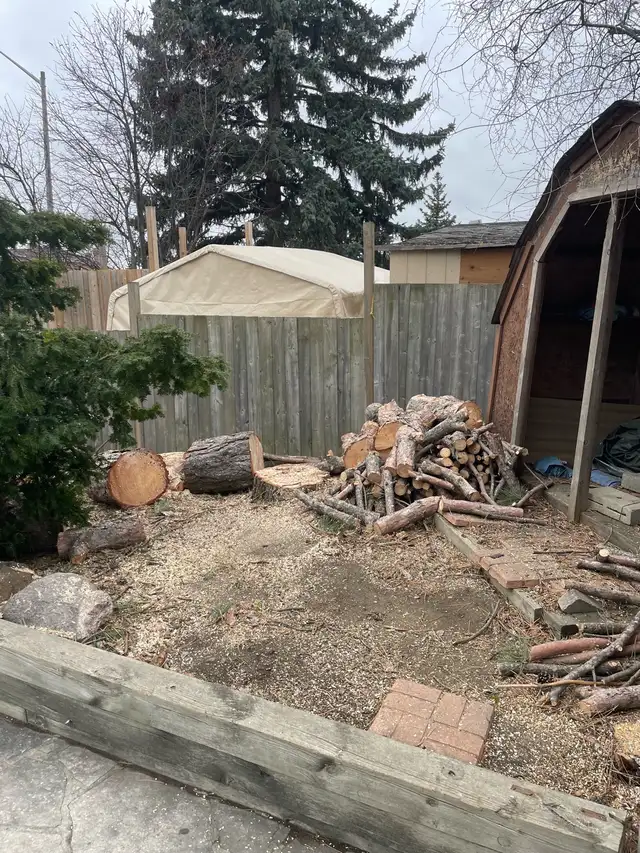 Tree Work Labourer needed - Photo 6