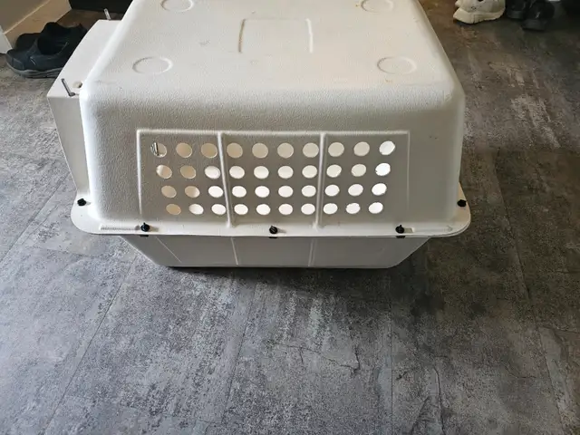 Pet kennel - Photo 8