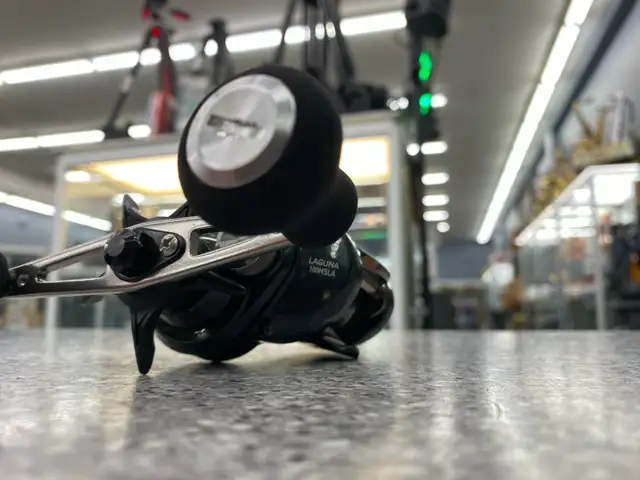 Daiwa Laguna HSLA Baitcast Reel - Photo 7