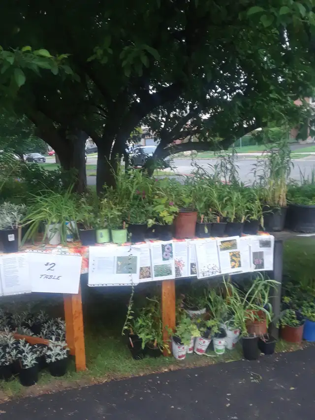 Huge Annual Plant Sale - Photo 2