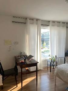 Vacant rooms downtown Toronto for movein start ASAP/June/July