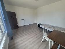 Vacant rooms downtown Toronto for movein start ASAP/June/July - Photo 3