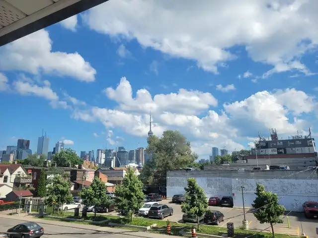 Vacant rooms downtown Toronto for movein start ASAP/June/July - Photo 4