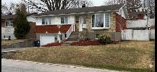 Duplex à Vendre