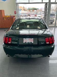 Bullitt Mustang - Photo 4