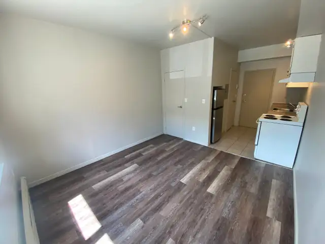 Bachelor Apartment in Durand Neighbourhood - Photo 2