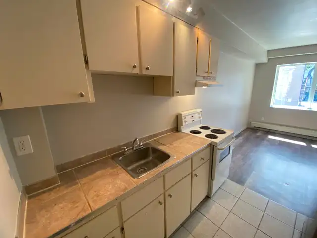 Bachelor Apartment in Durand Neighbourhood - Photo 4