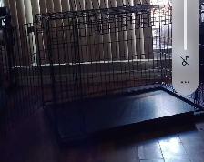 mint condition XL dog crate - Photo 2