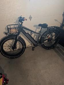 RadRover 6 Plus Electric Bike