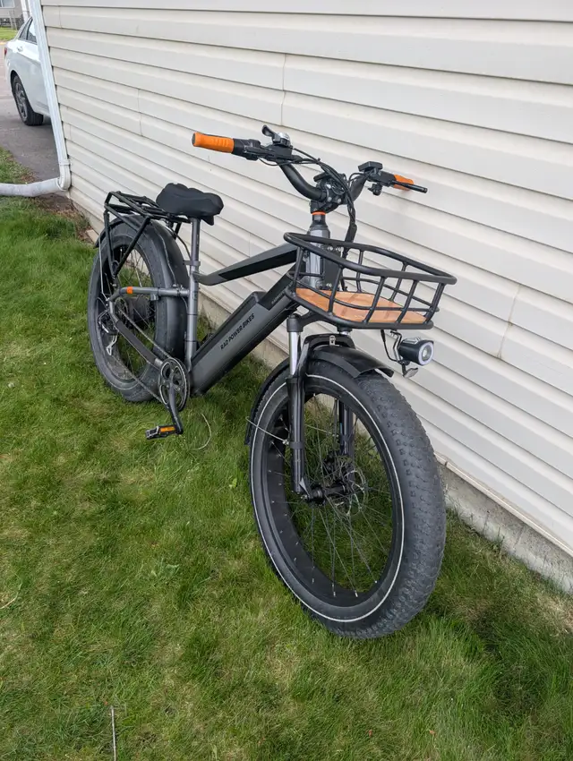 RadRover 6 Plus Electric Bike - Photo 3