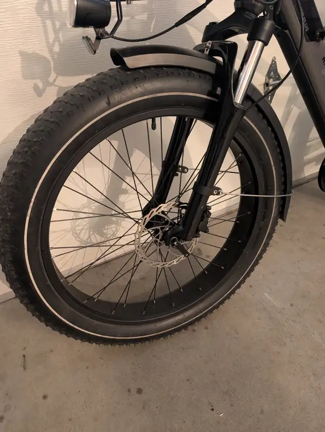 RadRover 6 Plus Electric Bike - Photo 4