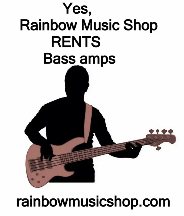 Rainbow Music Shop RENTS instrument amplifiers too ! - Photo 2