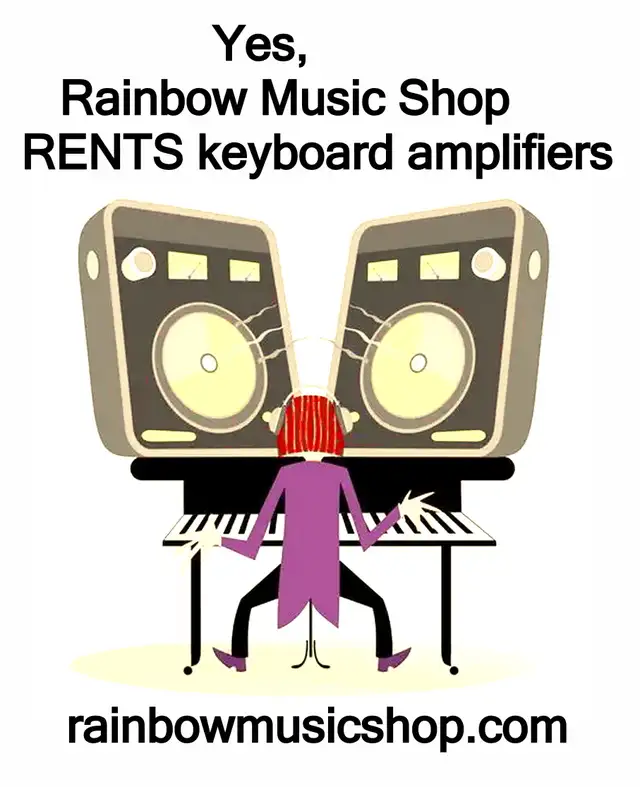 Rainbow Music Shop RENTS instrument amplifiers too ! - Photo 3