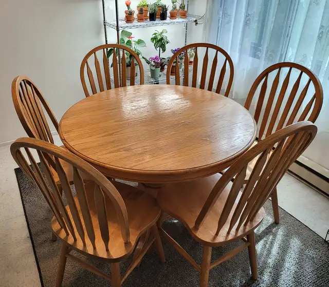 Table de salle à manger extensible avec 6 chaises