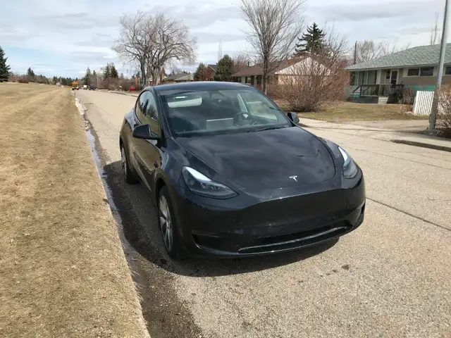 Beautiful Tesla Model Y (2024)