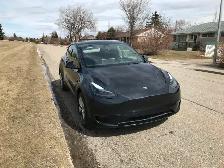 Beautiful Tesla Model Y (2024)