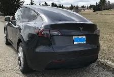 Beautiful Tesla Model Y (2024) - Photo 3