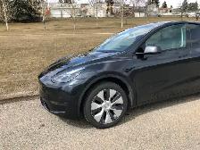 Beautiful Tesla Model Y (2024) - Photo 5