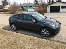 Beautiful Tesla Model Y (2024) - Photo 6