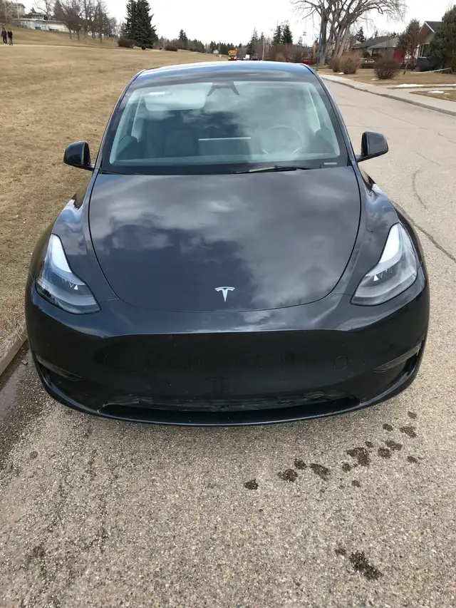Beautiful Tesla Model Y (2024) - Photo 9