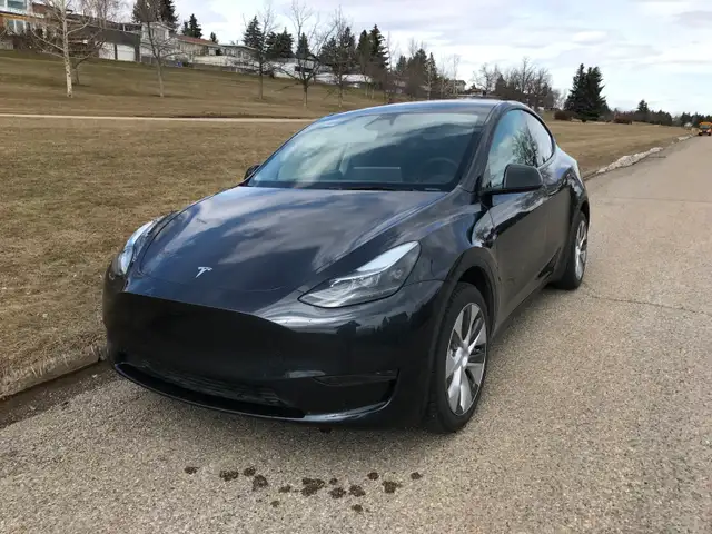 Beautiful Tesla Model Y (2024) - Photo 10