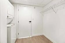 Stunning 1 Bedroom Apartment! With Fitness Centre! - Photo 8